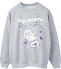 Owl Wizard Jumper