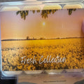 Fresh wax collection