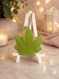 CBD Soap Bar